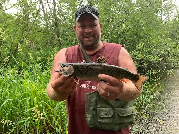 Winding Creek Campground Picture 1