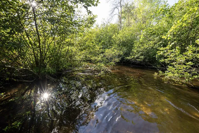 Winding Creek Campground Picture 6