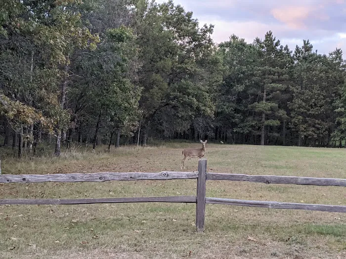 Lake Arrowhead Private Campground Picture 5