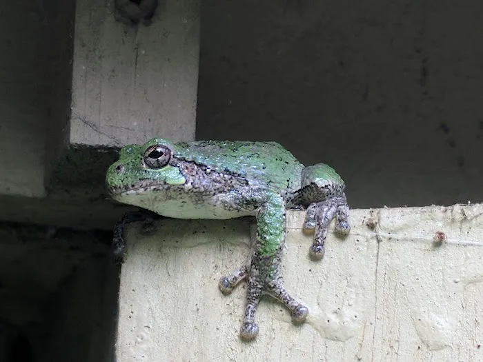 Lake Arrowhead Private Campground Picture 8