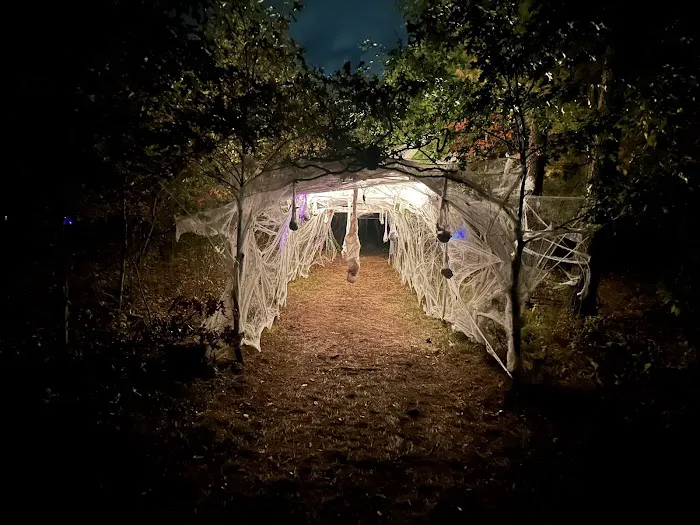 Lakeside Fire Campground Picture 3