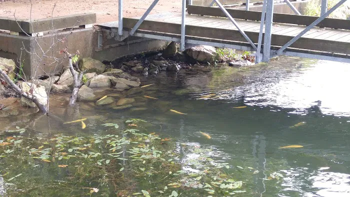 Hickory Hill Campground Picture 6