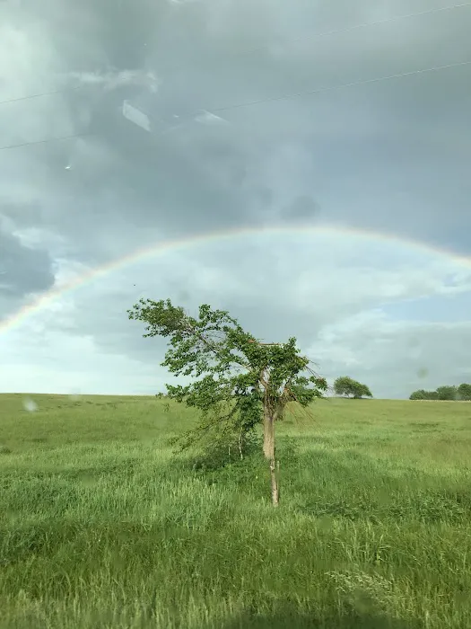 Halsted's Hideaway Campground Picture 5