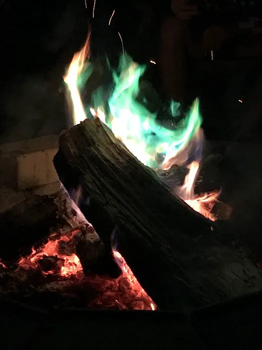 Halsted's Hideaway Campground Picture 3