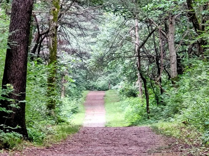 Jefferson County Park Campground Picture 2