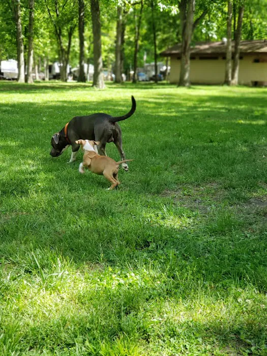 Bicentennial Campgroud at Lake Lou Yaeger Picture 7