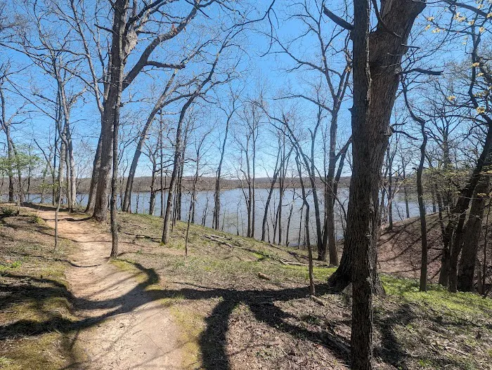 Lake Lou Yaeger Campground Picture 7