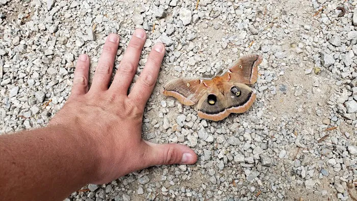 Rainmaker Campground Picture 1