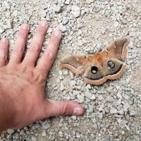 Rainmaker Campground ico