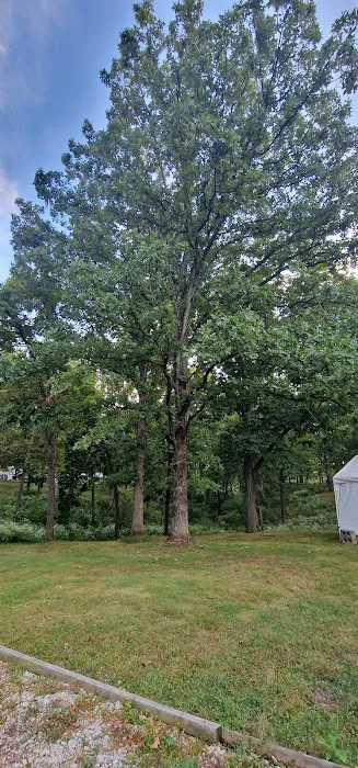 Sherwood Forest Campground Picture 4