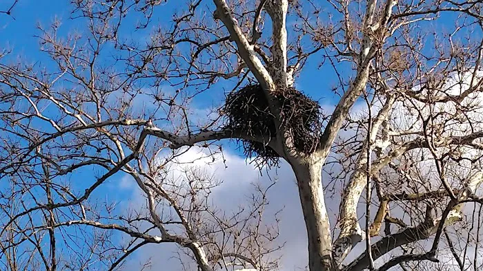 Indian Grove Campgrounds Picture 2