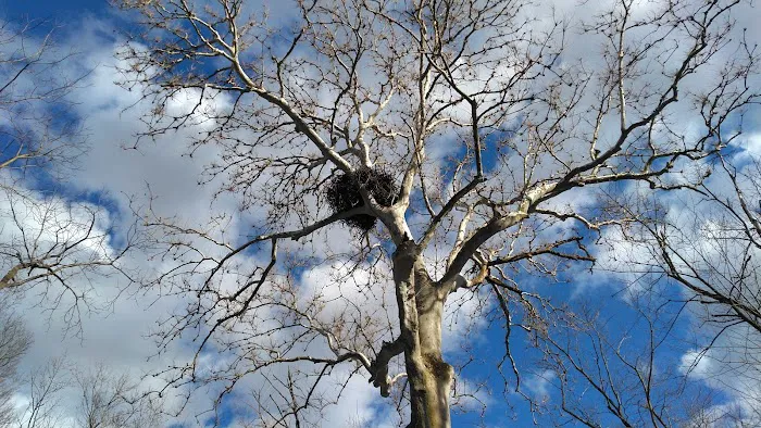 Indian Grove Campgrounds Picture 1