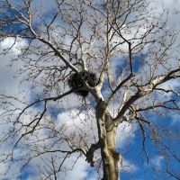 Indian Grove Campgrounds ico