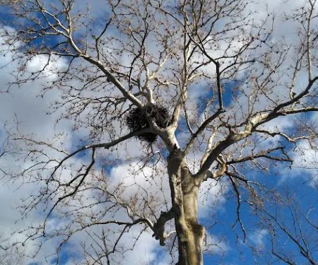 Indian Grove Campgrounds