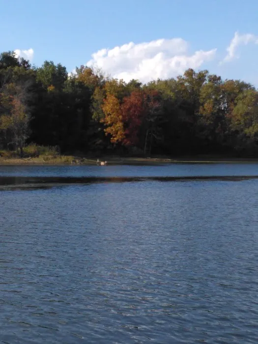 Indian Grove Campgrounds Picture 9