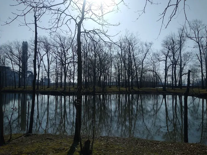 Indian Grove Campground Picture 7