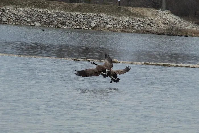 Indian Grove Campground Picture 8