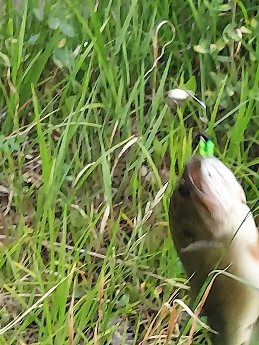 Gnawbone Campground Picture 3