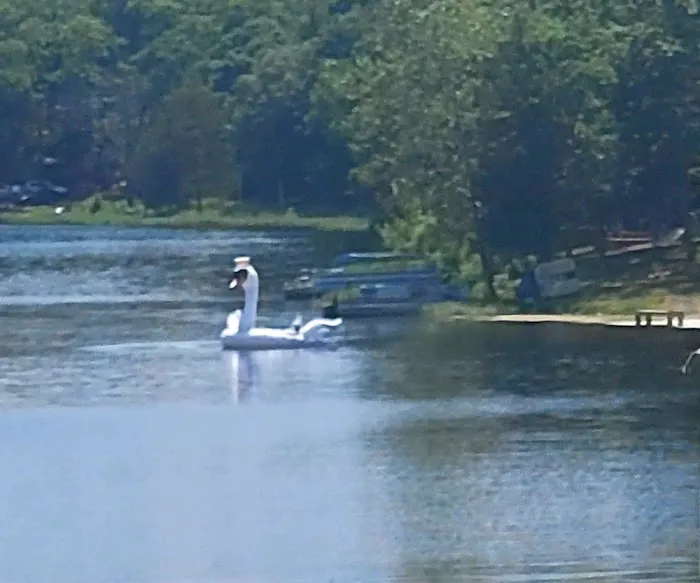Cedar Lake Development Picture 4