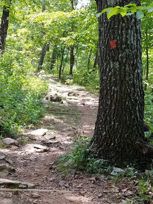 Taum Sauk Mountain Campground Picture 3