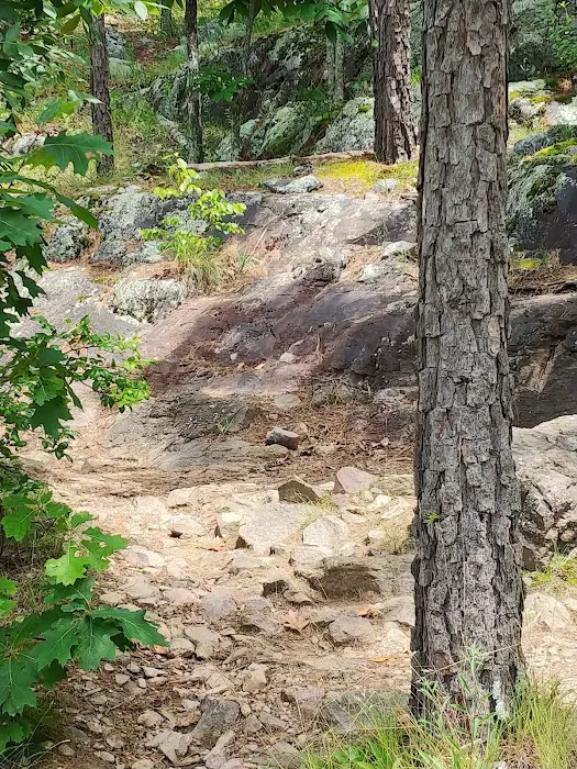 Taum Sauk Mountain Campground Picture 2