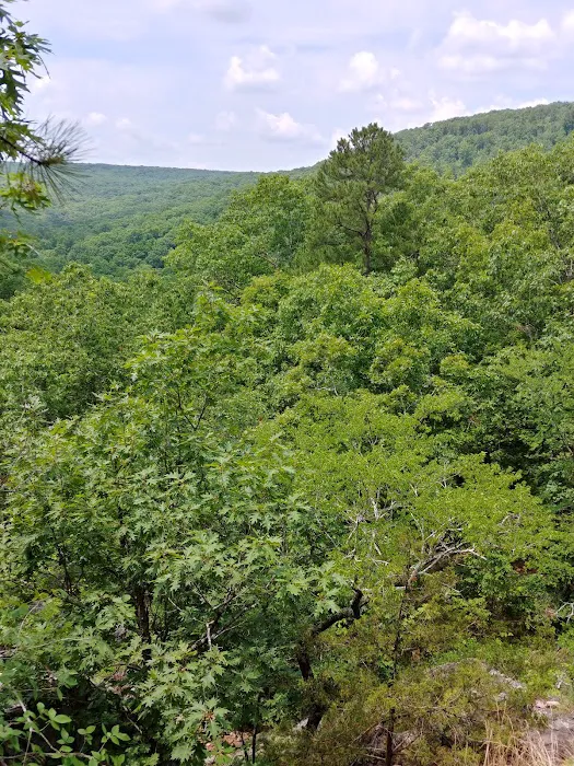 Taum Sauk Mountain Campground Picture 6