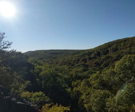 Taum Sauk Mountain Campground