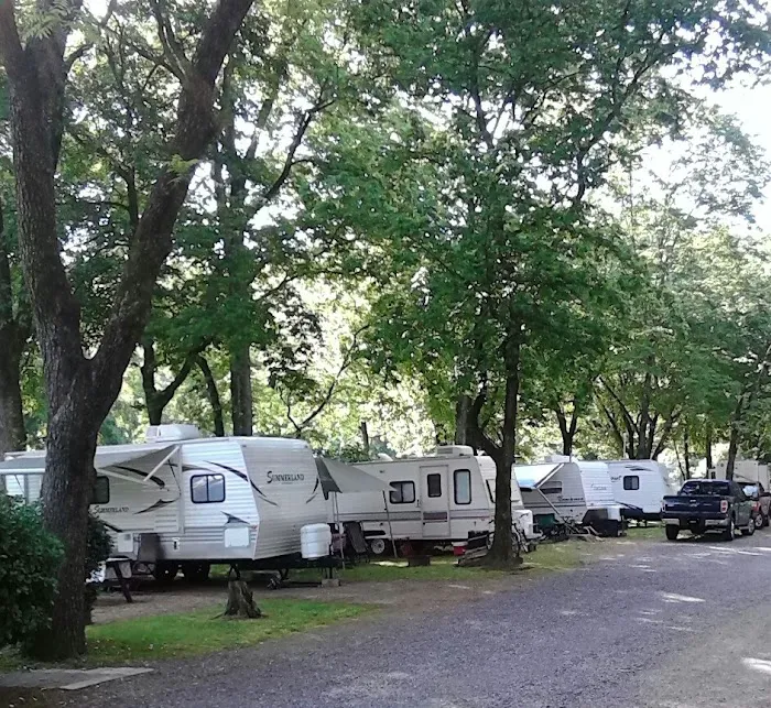 Lodge For All Seasons Picture 6
