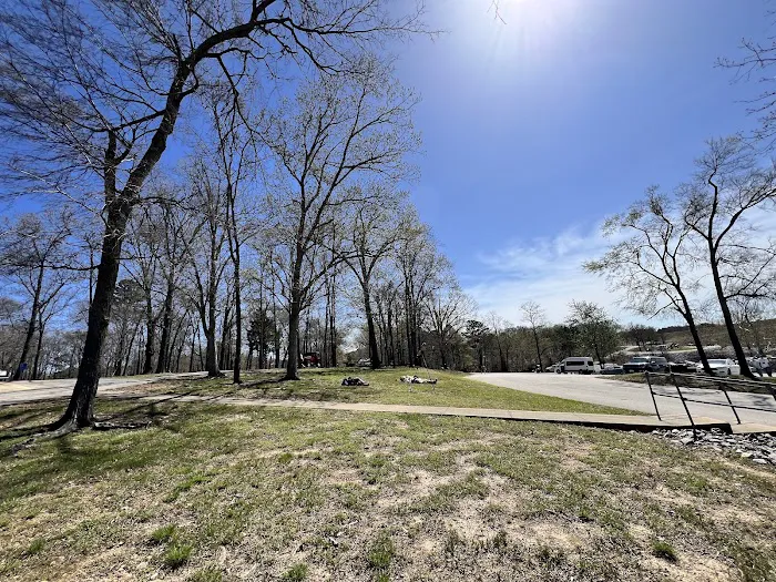 Beach Piedmont Park Picture 6