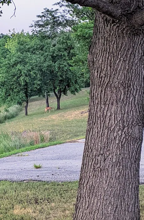 Beach Piedmont Park Picture 7