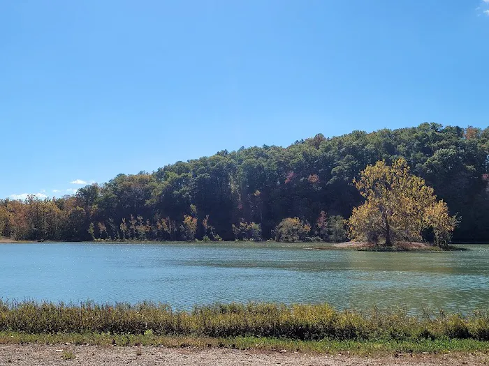 Beach Piedmont Park Picture 10