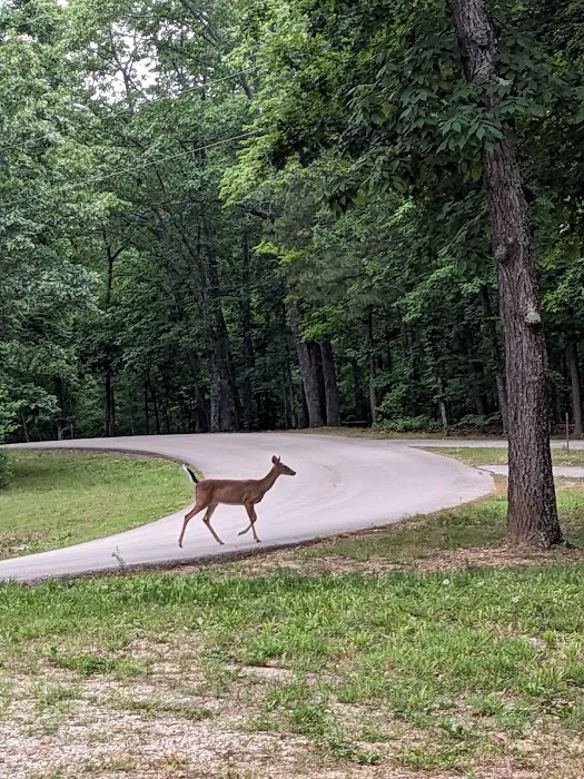 Markham Spring Recreation Area Picture 4