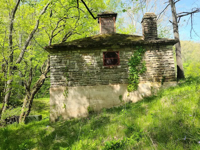 Markham Spring Recreation Area Picture 14