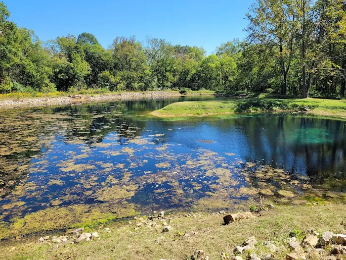 Markham Spring Recreation Area Picture 13