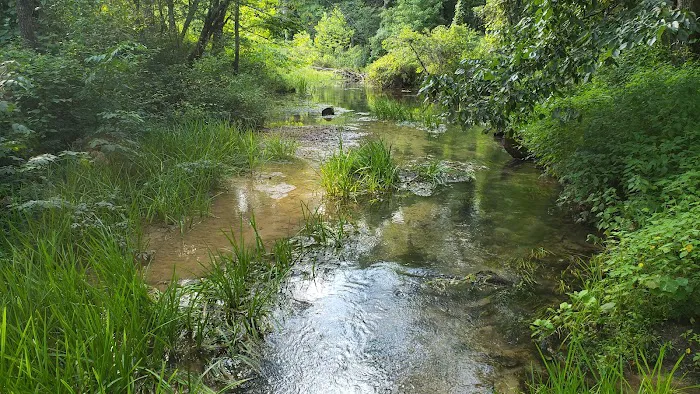 Markham Spring Recreation Area Picture 15