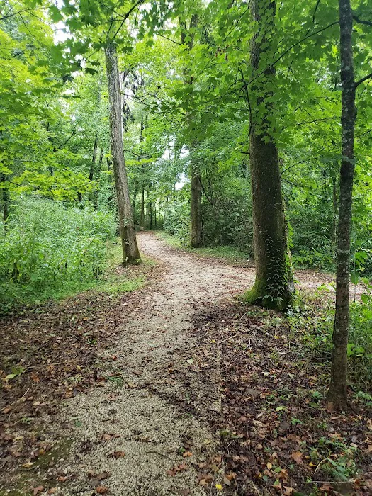 Markham Spring Recreation Area Picture 17