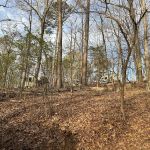 Webb Creek Campground