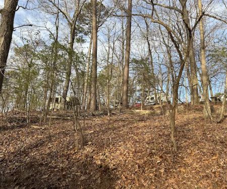 Webb Creek Campground