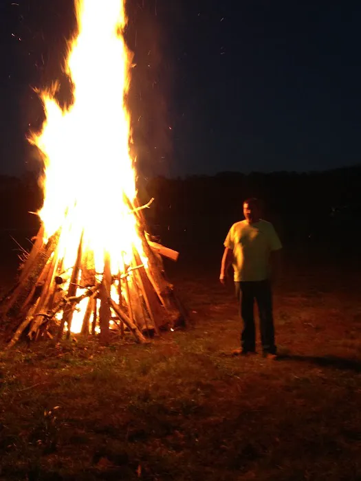 Parks Bluff Campground, MO Picture 8