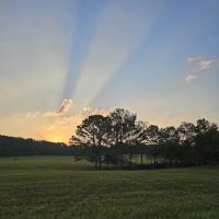 Glenhaven Private Campground ico