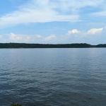 Piney Grove Campground