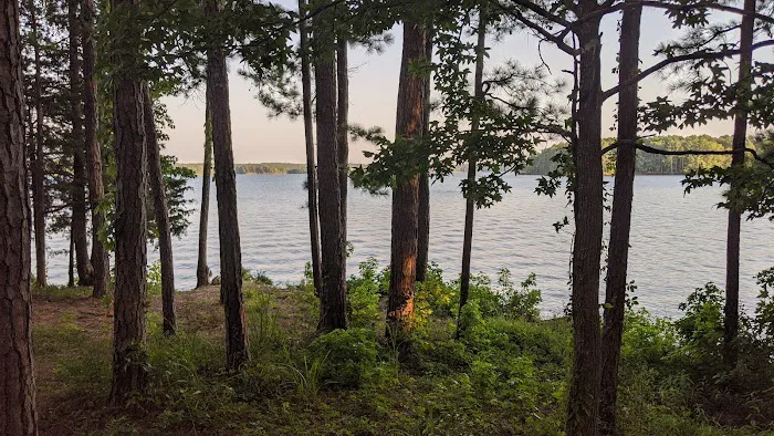 Piney Grove Campground Picture 2