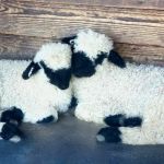 Valais Dream Ranch & Retreat