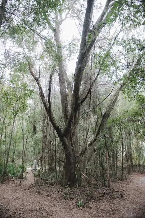 3G-Camping Retreat Picture 8