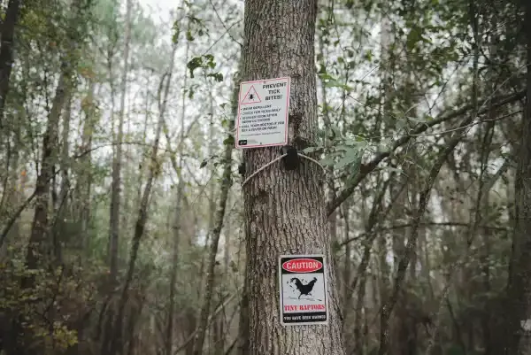 3G-Camping Retreat Picture 2