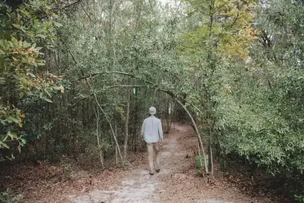 3G-Camping Retreat Picture 7