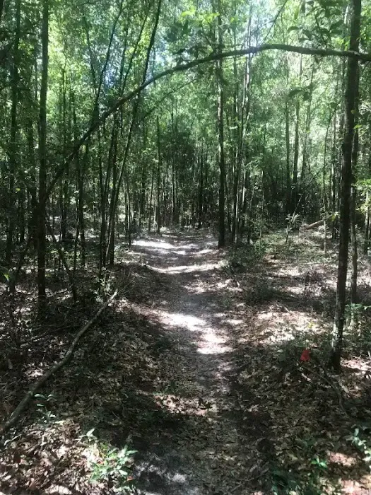 3G-Camping Retreat Picture 6