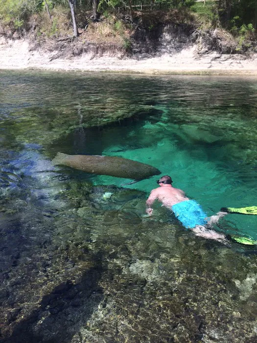 Cave dive camp Picture 8