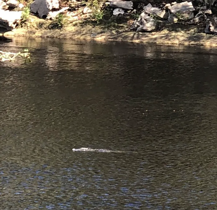 Somewhere In Time Picture 3