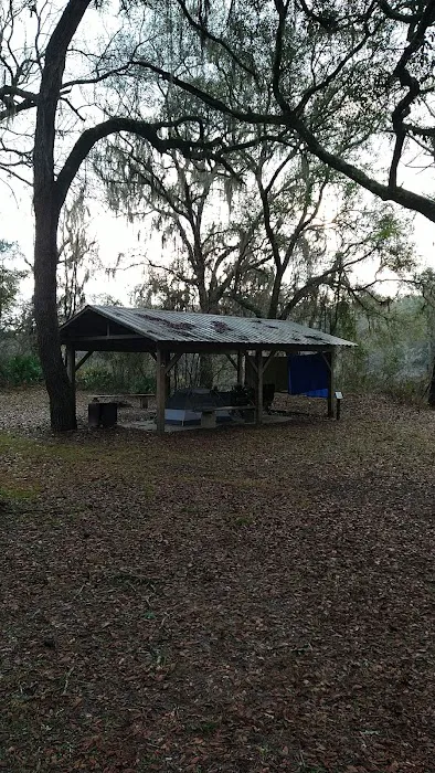 Coopers Bluff Campsite Picture 8